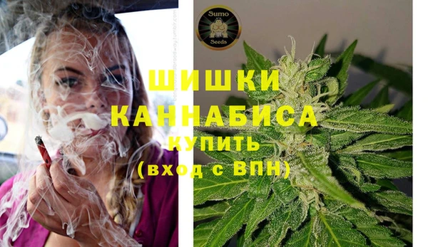 шишки Алзамай