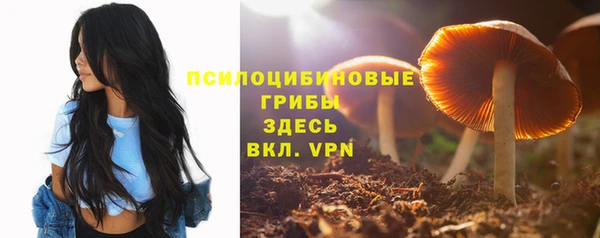 шишки Алзамай