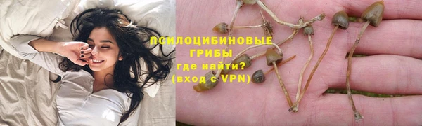 mdpv Арсеньев
