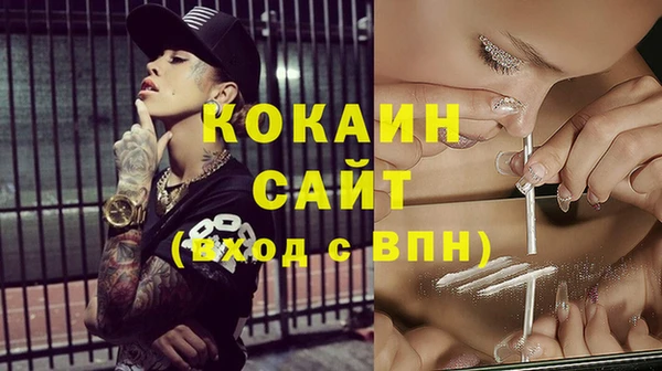тгк Аркадак