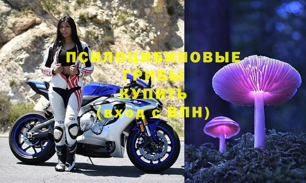 шишки Алзамай