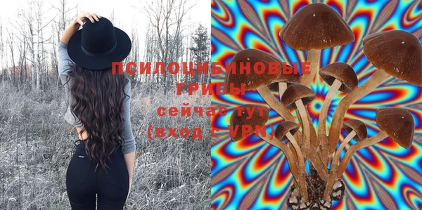 тгк Аркадак